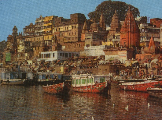 Kashi